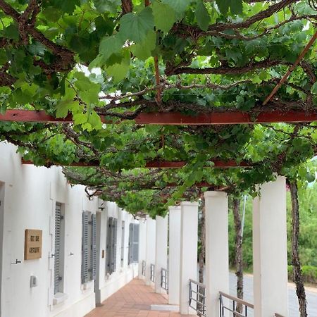 Port Wine Guesthouse Calitzdorp Buitenkant foto