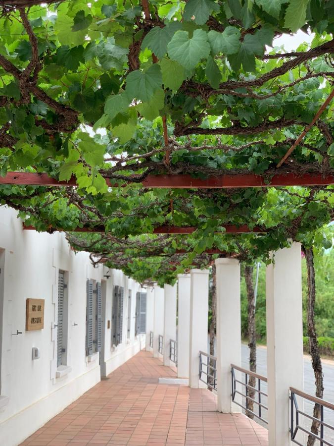 Port Wine Guesthouse Calitzdorp Buitenkant foto